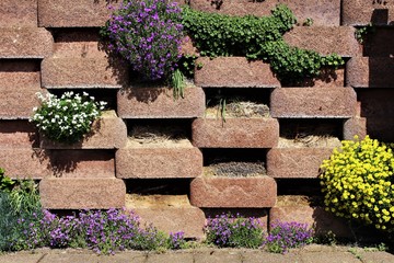 An image of a garden wall with flowers