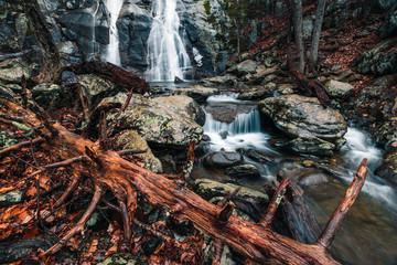 Lower Whiteoak Falls. Shenandoah National Park