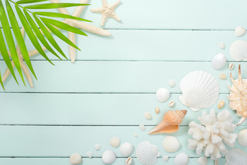 summer background, seashells on the wood
