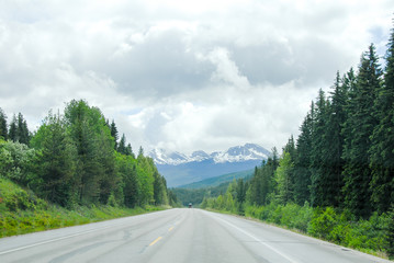 春のカナディアン・ロッキー　トランスカナダハイウェイ16号線（カナダ・ジャスパー）