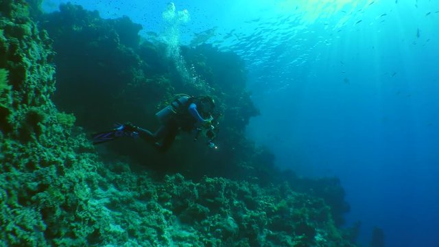 Underwater photographer with a camera swims along the wall of a coral reef, wide shot.
