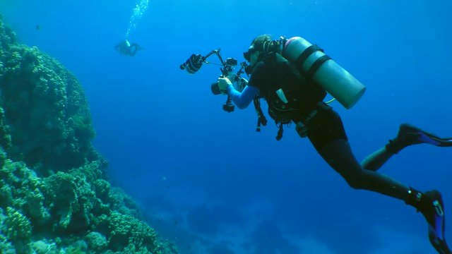 Underwater photographer with a camera swims along the wall of a coral reef, medium shot.
