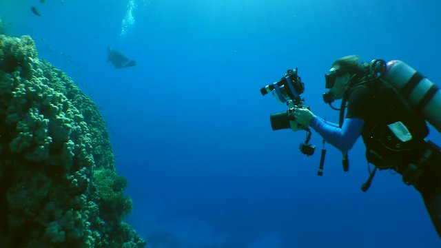 Underwater photographer with a camera swims along the wall of a coral reef, medium shot.
