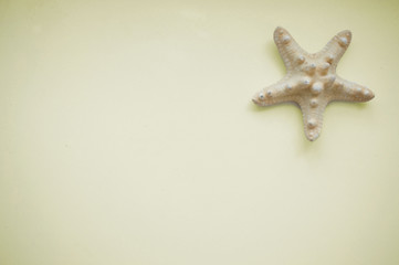 Fototapeta na wymiar Shell and starfish on a yellow background
