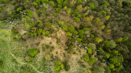 Aerial view of rural area with fields and forests.