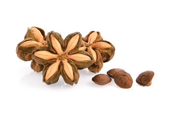 sacha inchi isolated on white background