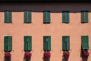 Green shutters and hanging flowers