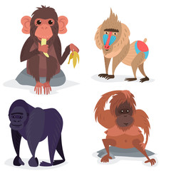 Different breads monkey character animal wild zoo ape chimpanzee vector illustration.