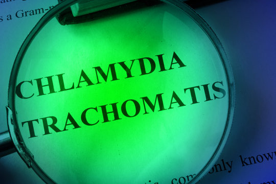Document with title chlamydia trachomatis.