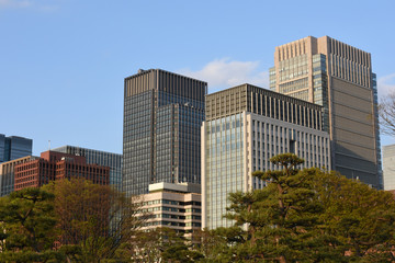 Fototapeta na wymiar 日本の東京都市景観と青空