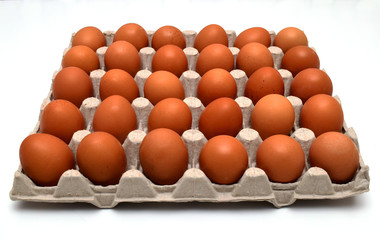 eggs in formwork