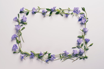 Flowers on a light background