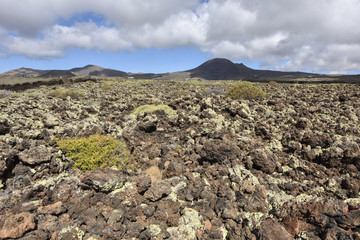 Interesting volcanic landscape of northern Lanzarote, Canary Islands, Spain, Europe