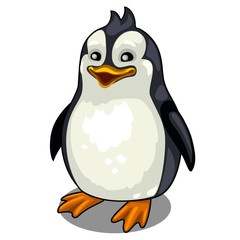 One smiling penguin on white background. Vector