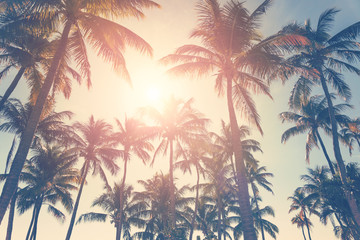 Obraz premium Tropikalna plaża z palmami i słonecznym niebem