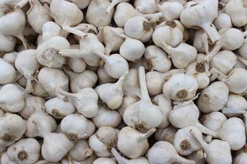 large amounts of jumbled garlic
