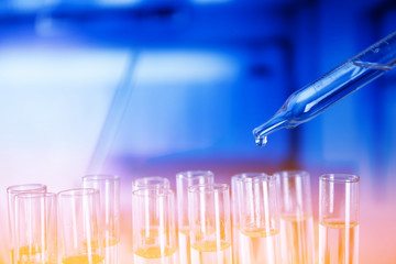 laboratory experiment