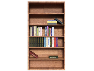 A wooden wardrobe in light wood. Inside history books and other from brown wood. Different literature