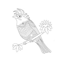 Coloring book for adults and children. Fantasy bird on a branch. Black and white vector illustration.