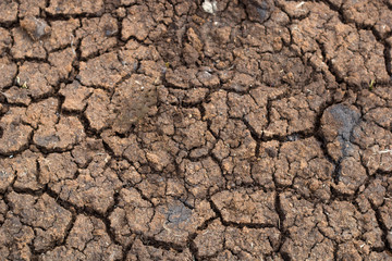 cracked ground for background