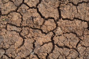 cracked ground for background