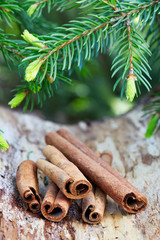 Cinnamon sticks. Natural background with spruce twig. Traditional Christmas holiday vertical card.
