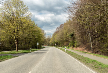 Fototapeta premium Landstrasse im Frühling,erste Blüte der Bäume