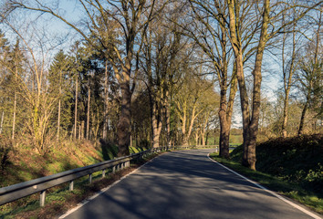 morgens im Frühling  auf einer Chaussee