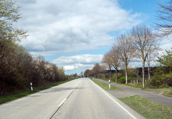 Fototapeta premium frühling auf der landstrasse bei blauen himmel