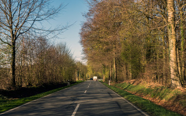 morgenstimmung auf einer Strasse durch einen Wald