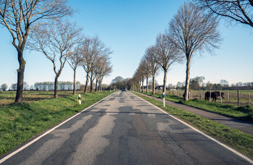 im Fr&uuml;hling auf der Strasse an einer alle