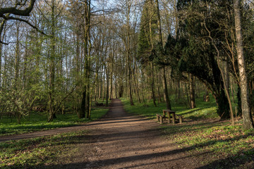 Maldweg morgens im Fr&uuml;hling im Wald, alleine