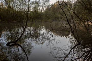 morgenstimmung am teich im fr&uuml;hling