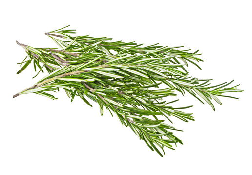 Pile of rosemary leaf isolated on a white background