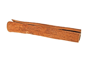 Single cinnamon stick isolated on white background