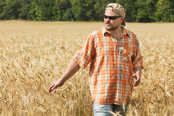 Naklejka na ściany i meble Farmer in cap and sunglasses standing at rye field
