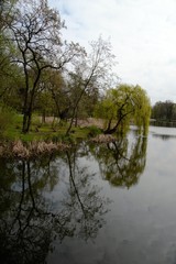 Fototapeta na wymiar Solacki Park in Poznan, Poland