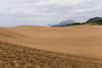 Fototapeta na wymiar Tottori Dunes in japan