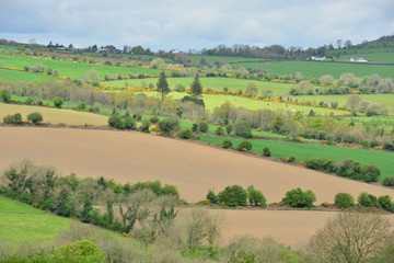 Fototapeta premium The lush arable Farmland of Ireland in springtime.