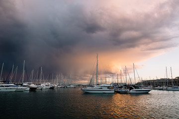 A lot of white yachts on the water. Boats on the ocean water. A white yacht. The branches of a tree. Beautiful sunset. A pink sunset.