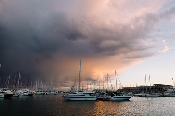 A lot of white yachts on the water. Boats on the ocean water. A white yacht. The branches of a tree. Beautiful sunset. A pink sunset.