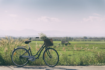 Fototapeta na wymiar Bicycle and nature.