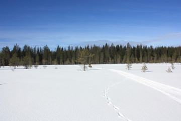 Fototapeta na wymiar Снегоход, едущий по зимней равнине.