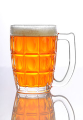 Beer Mug / Glass with froth isolated on white background