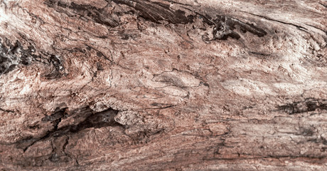 Wood texture.