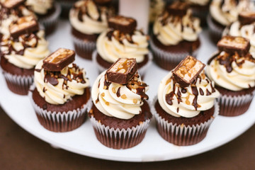 Freshly baked chocolate cupcakes with butter cream, nuts and chocolate top view. Dessert for the holidays
