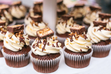 Freshly baked chocolate cupcakes with butter cream, nuts and chocolate top view. Dessert for the holidays

