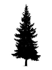 Silhouette of pine tree. Hand made.