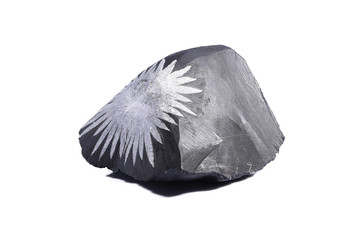 Flower Stone is also known as Chrysanthemum Stone © stellar