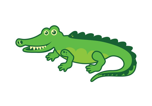 Crocodile vector. Cartoon crocodile. Green crocodile on a white background